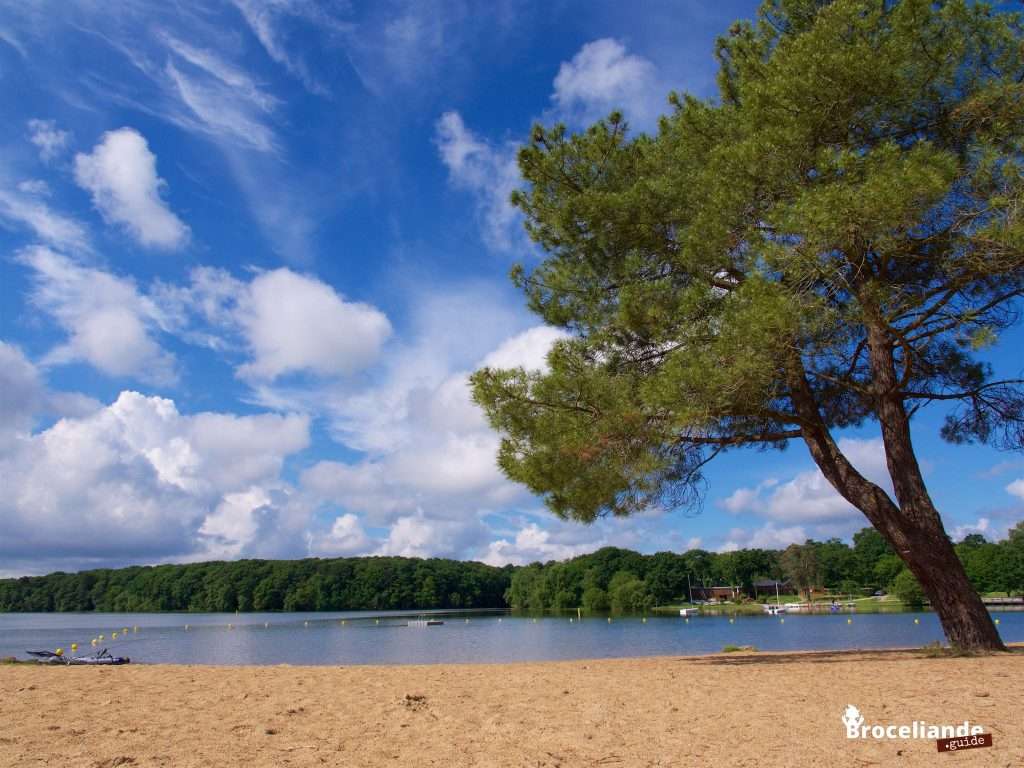 Brocéliande