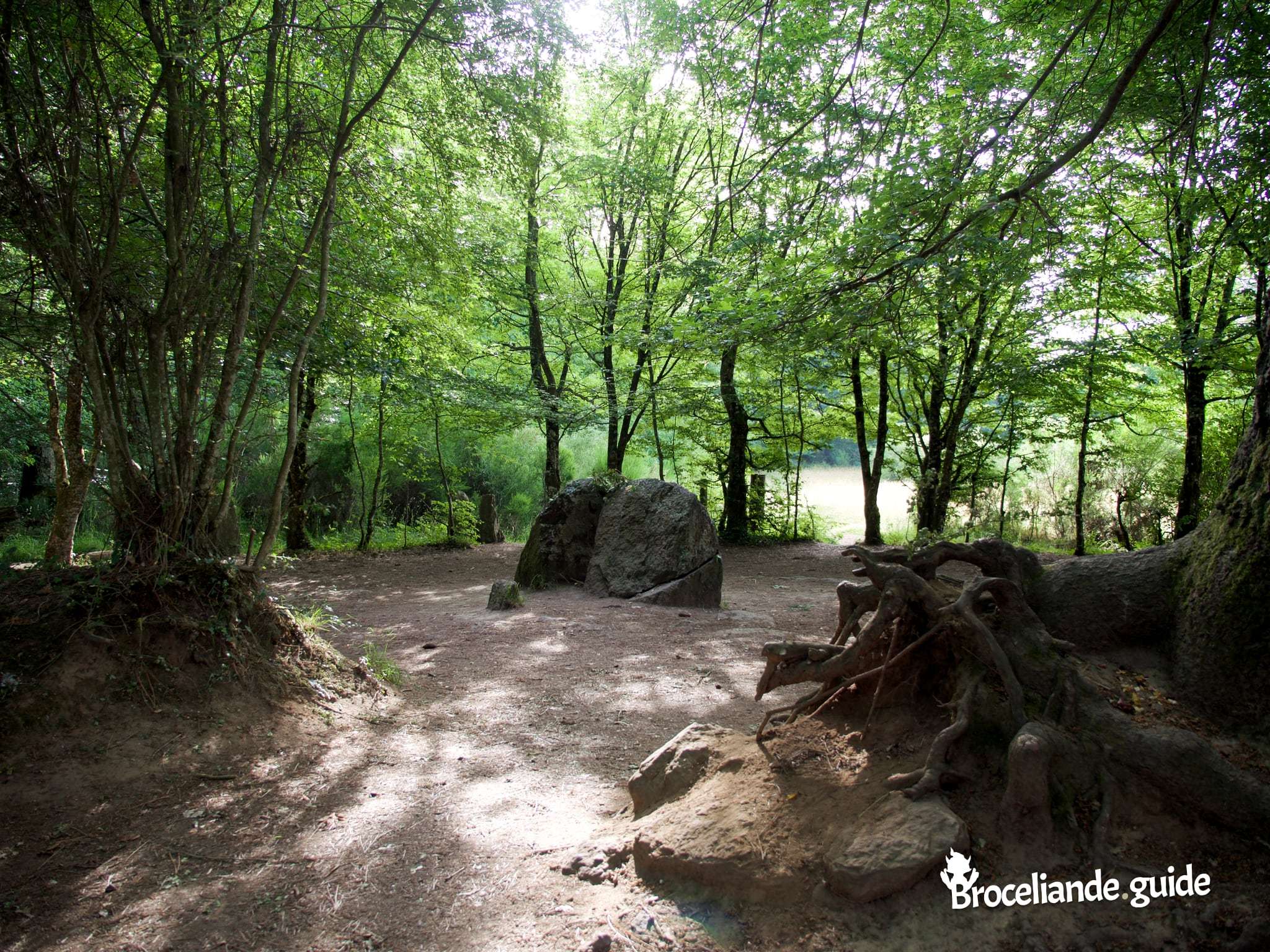 You are currently viewing Entrez au coeur de Brocéliande